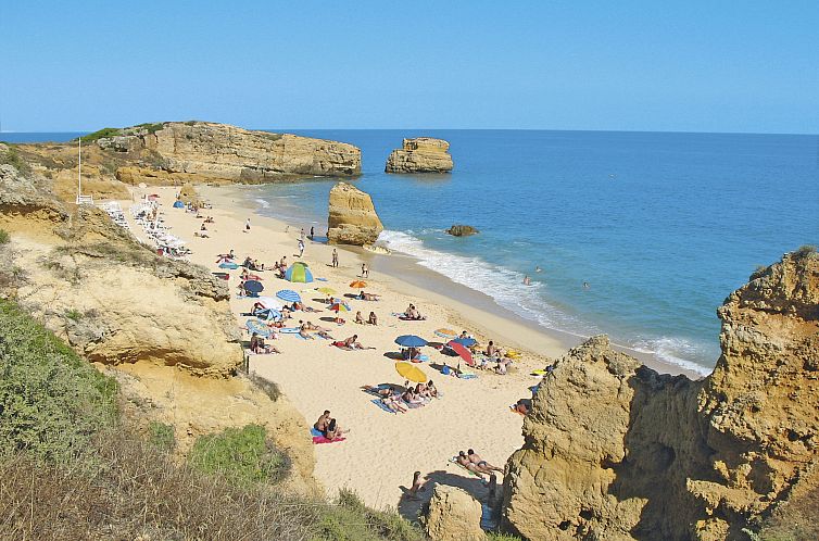 Vakantiehuis Villa Jacaranda V3