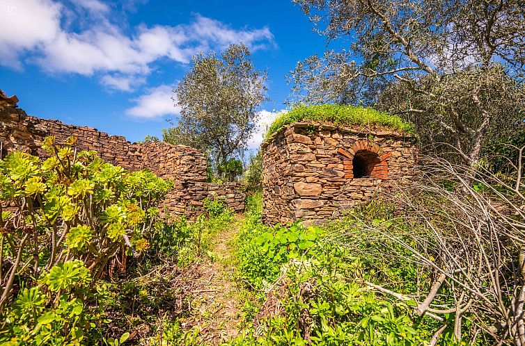 Vrijstaande woning in Silves
