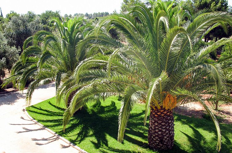 Vakantiehuis Do Lagar