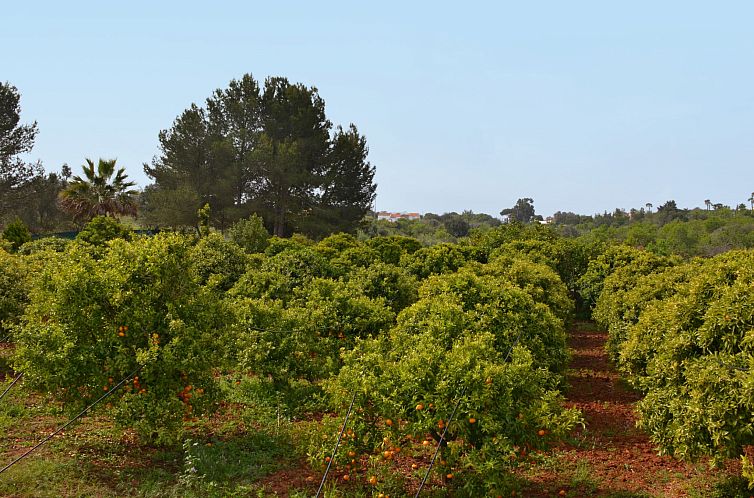 Vakantiehuis Do Lagar