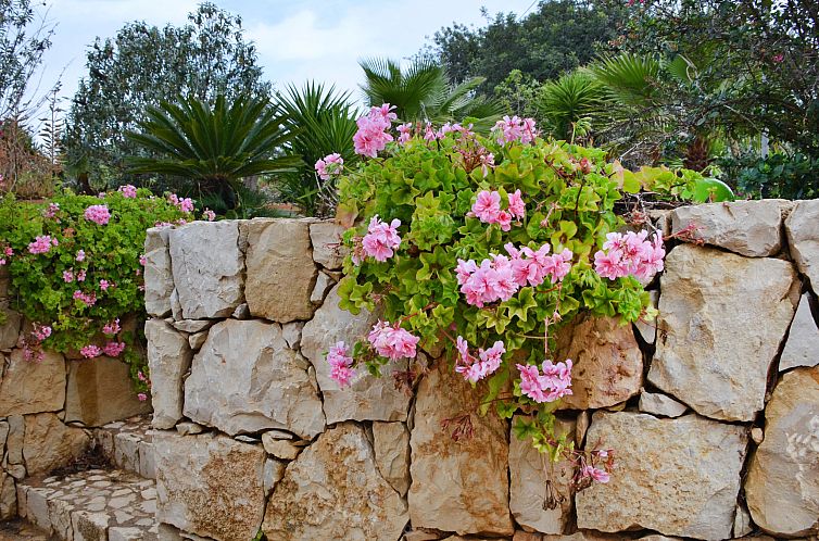 Vakantiehuis Do Lagar