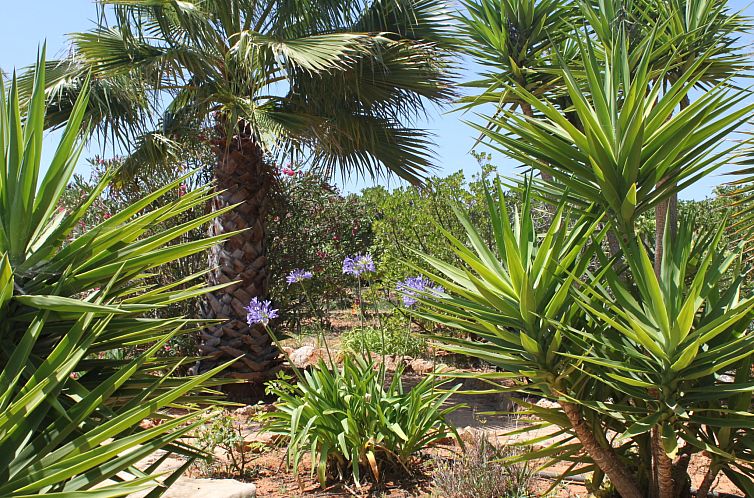 Vakantiehuis Do Lagar