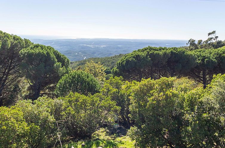 Vrijstaande woning in Monchique