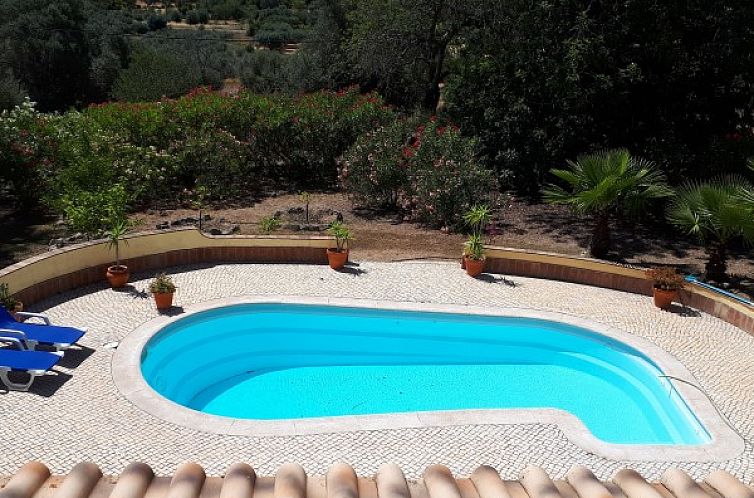 Casa Oliveira in Moncarapacho biedt een serene vakantiehuiservaring met een uitnodigend zwembad en weelderige omgeving in de Algarve.