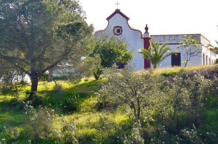 Vakantiehuis in São Bartolomeu de Messines