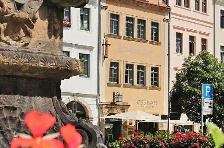 Hotel Zittauer Hof