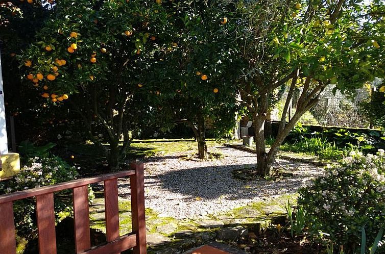 Unterkunft 12810802 - Ferienhaus Beiras - Vakantiehuis Landhaus in idyllischer Lage