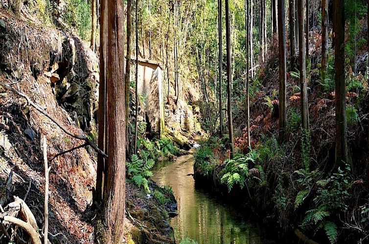 Vakantiehuis Landhaus in idyllischer Lage