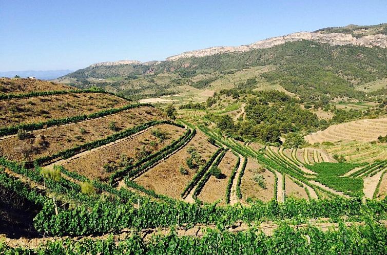 Hotel-Celler Buil & Gine