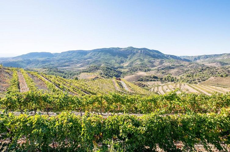 Hotel-Celler Buil & Gine