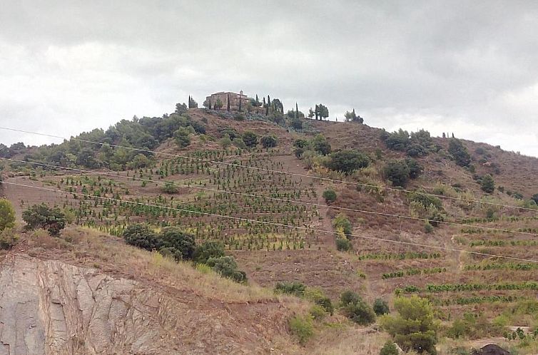 Hotel-Celler Buil & Gine
