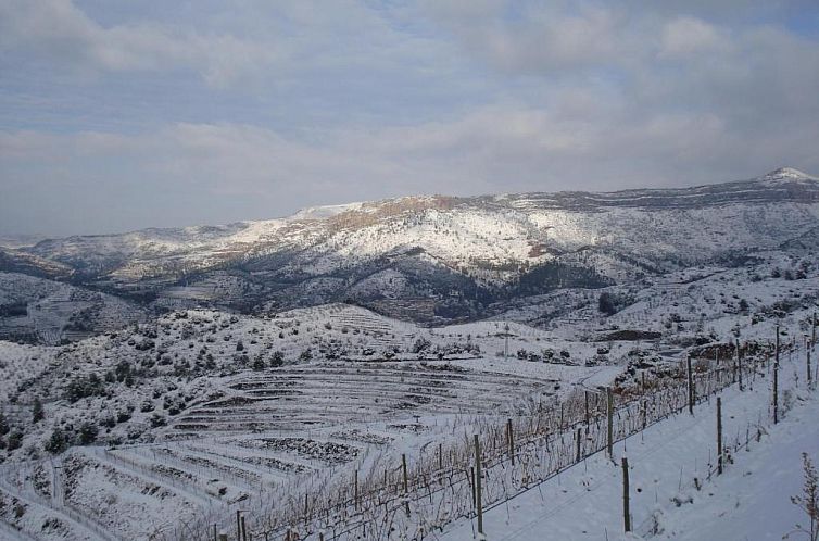 Hotel-Celler Buil & Gine