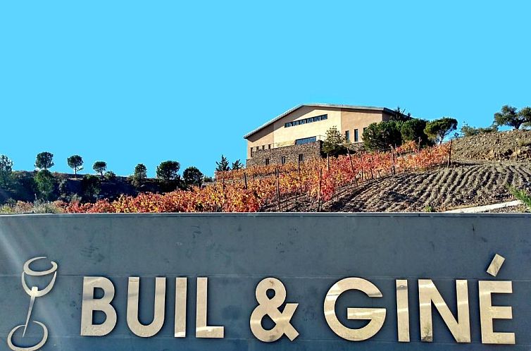 Hotel-Celler Buil & Gine