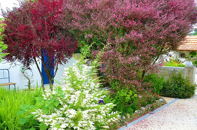 Vakantiehuis Quinta D'Avó Amélia, wunderschönes Landhaus 