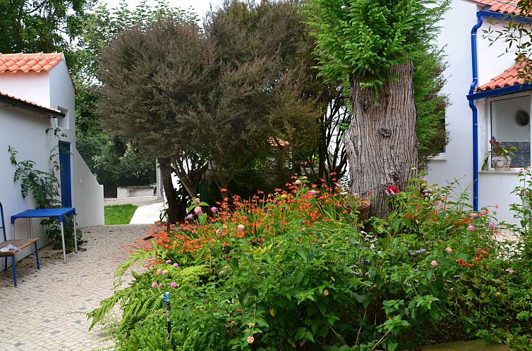 Vakantiehuis Quinta D'Avó Amélia, wunderschönes Landhaus 