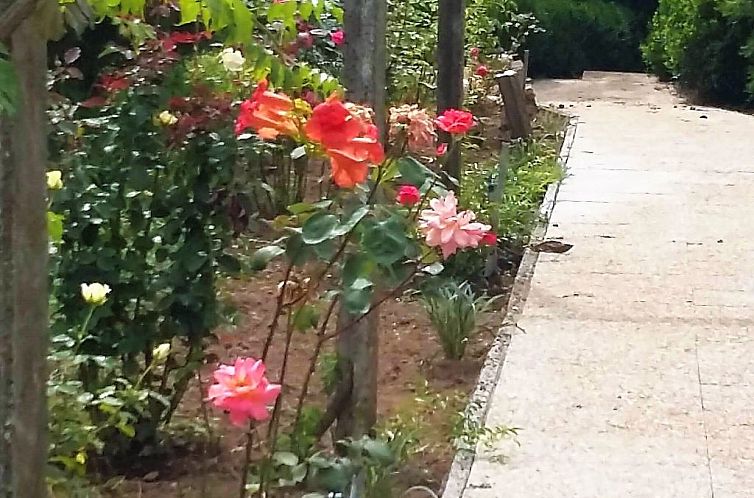 Vakantiehuis Quinta D'Avó Amélia, wunderschönes Landhaus 