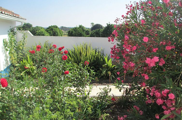 Vakantiehuis in Coimbrão mit Eigenem Pool