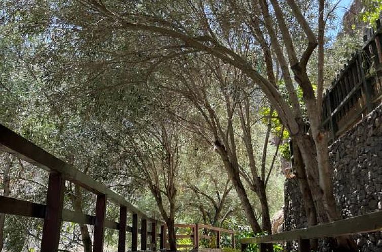 Casa Rural Guayadeque Ca'Juani