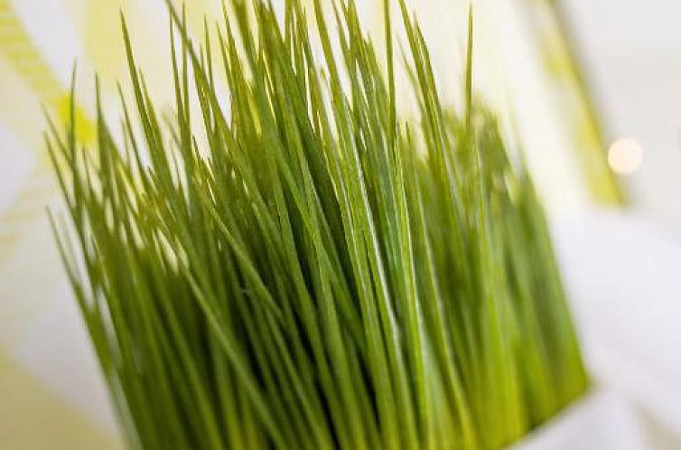 Hotel Landgasthof König von Preussen