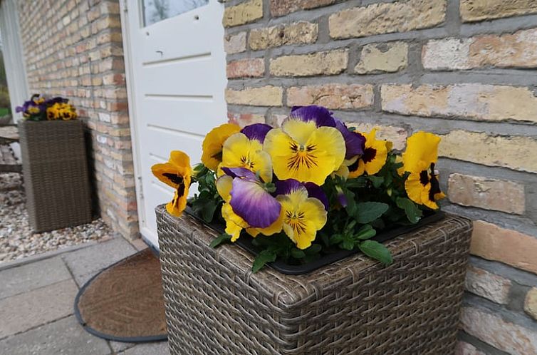 Vakantiehuis in Burgum