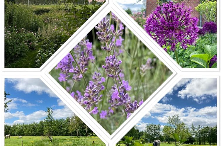 Vakantiehuis in Sumar