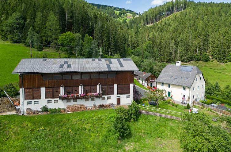 Verblijf 13111501 - Vakantiewoning Steiermark - Hochfelner - Stockerhof