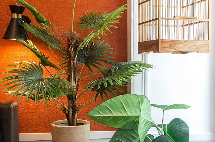 Appartement Das exotische Paradies. Majestätischer Aufentha