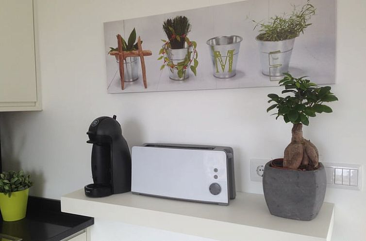 Vakantiehuis in Cela Velha