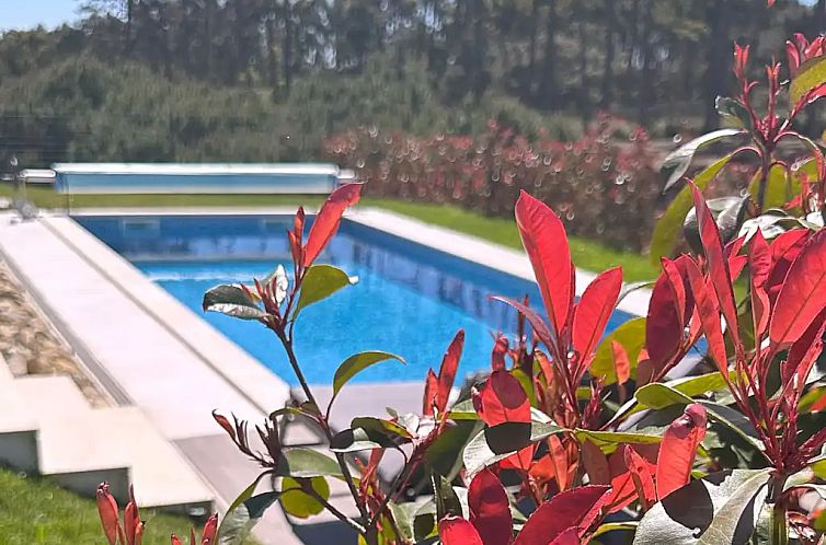 Jardim no Penhasco
