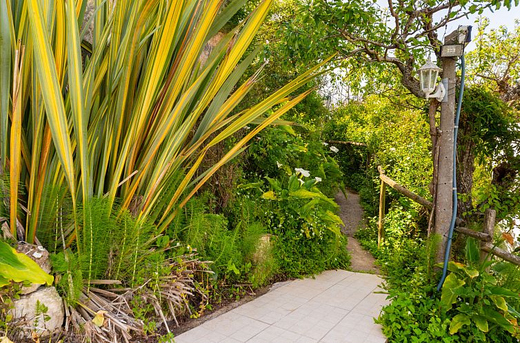 Vakantiehuis Das Serradas