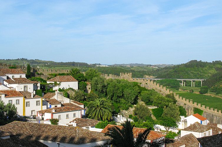 Vakantiehuis Do Pinheiros