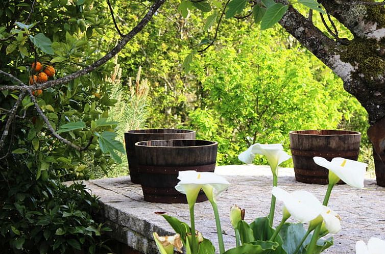 Vakantiehuis in Tondela