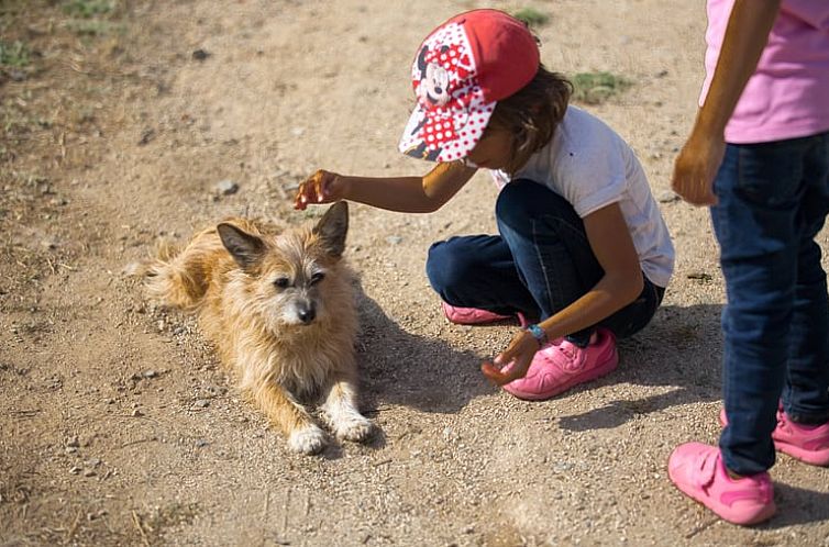 Vakantiehuisje in Figueiró dos Vinhos