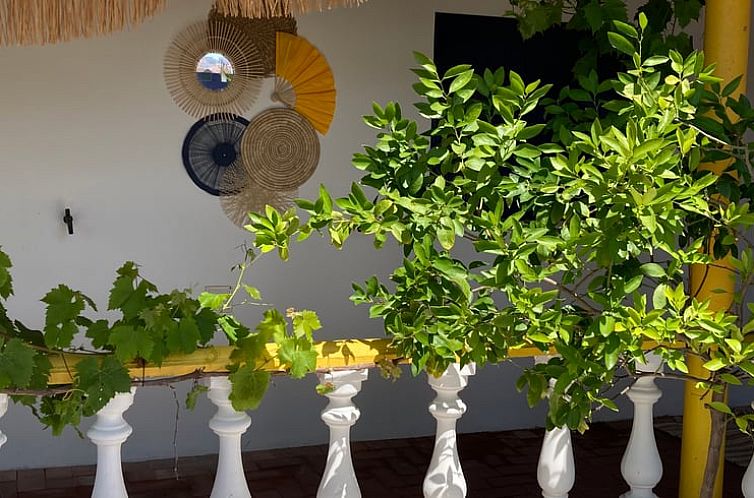 Vakantiehuis in Praia de Mira