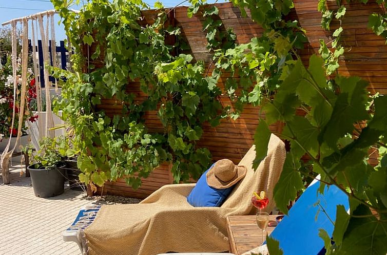 Vakantiehuis in Praia de Mira