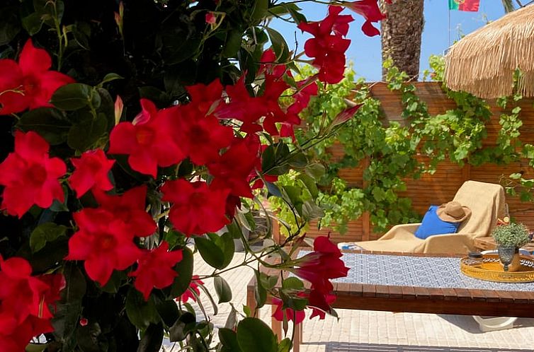 Vakantiehuis in Praia de Mira