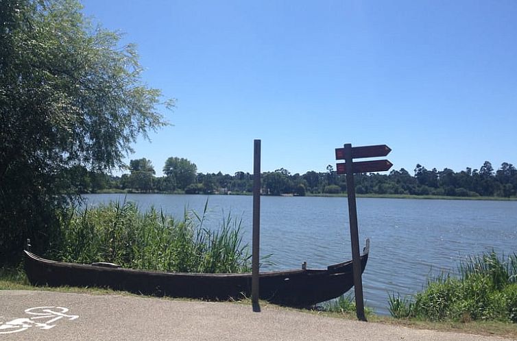 Vakantiehuis in Praia de Mira