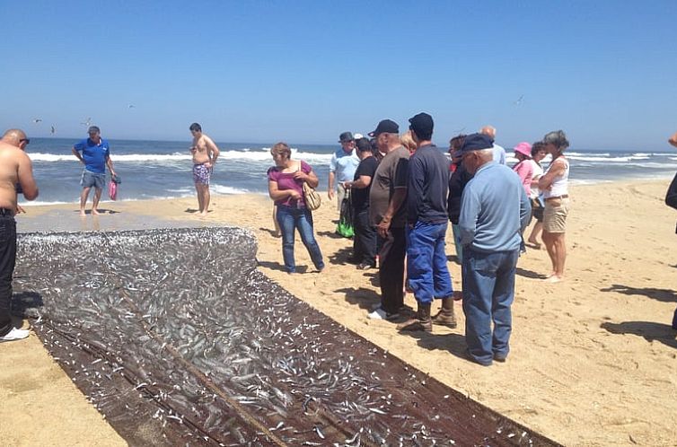 Vakantiehuis in Praia de Mira