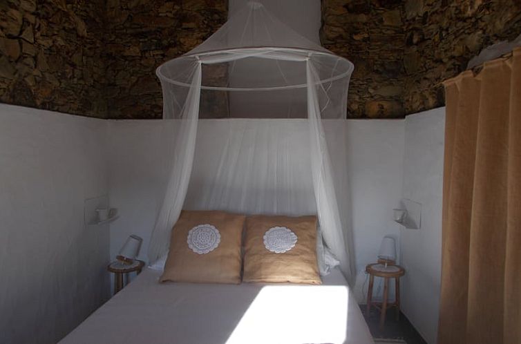 Vakantiehuis in Envendos