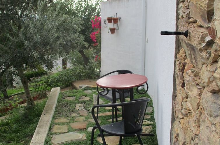 Vakantiehuis in Envendos