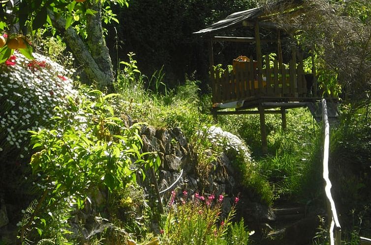 Vakantiehuisje in Penela