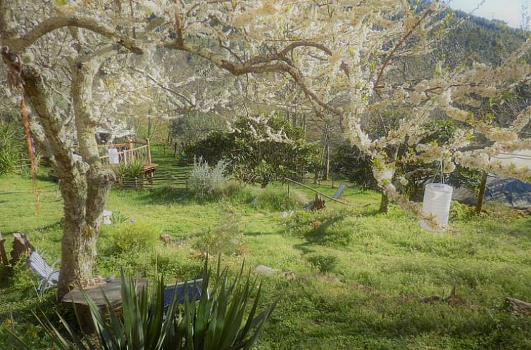 Vakantiehuisje in Penela