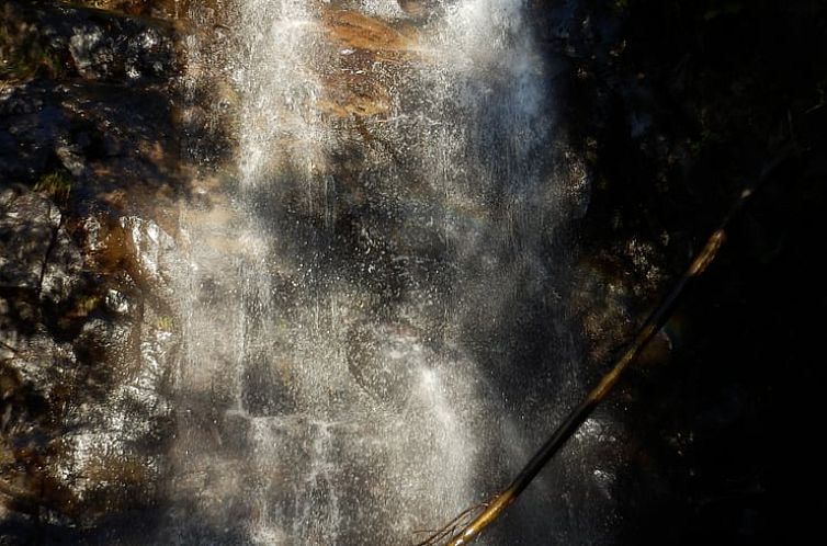 Vakantiehuisje in Penela