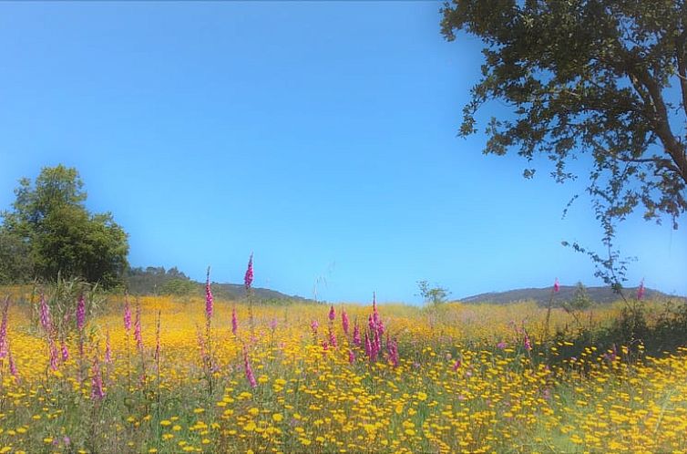 Vakantiehuisje in Penela