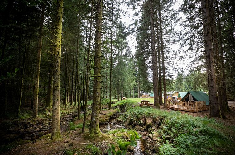 Bonaventure-tent
