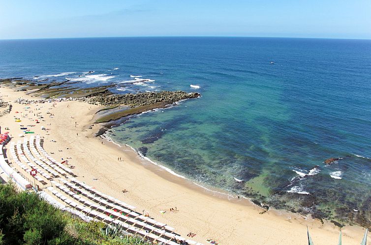 Appartement Duplex Loureiro