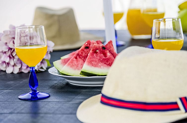 Vakantiehuis Vila Hortencia