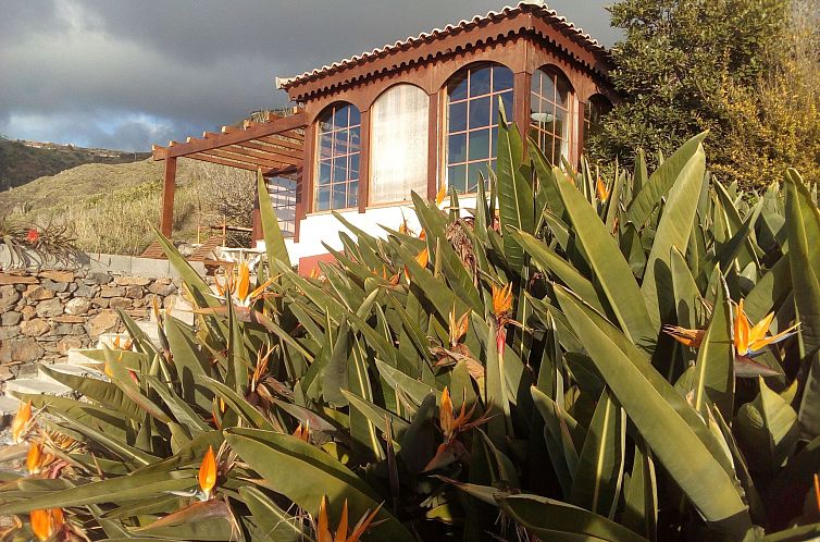 Unterkunft 1325815 - Ferienhaus Madeira - Vakantiehuis Erdhaus