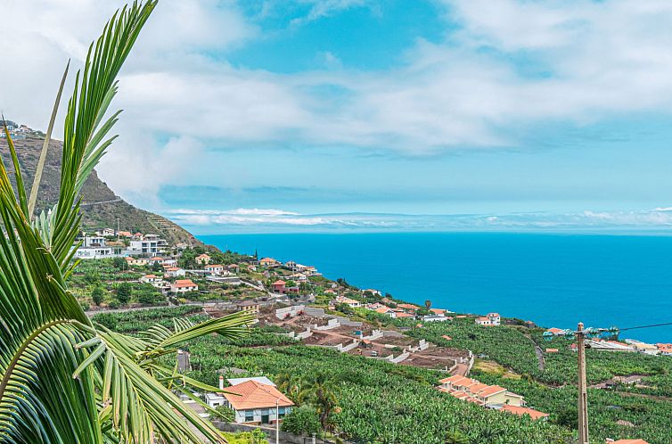 Vakantiehuis Villa in Arco da Calheta