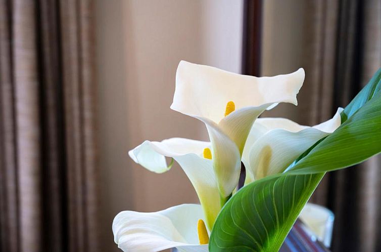 Woodall Country House and Spa